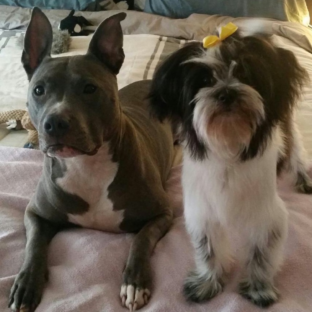 Meet your Posher, Trish